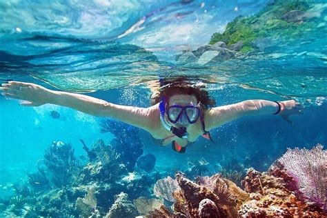 bar reef sanctuary.